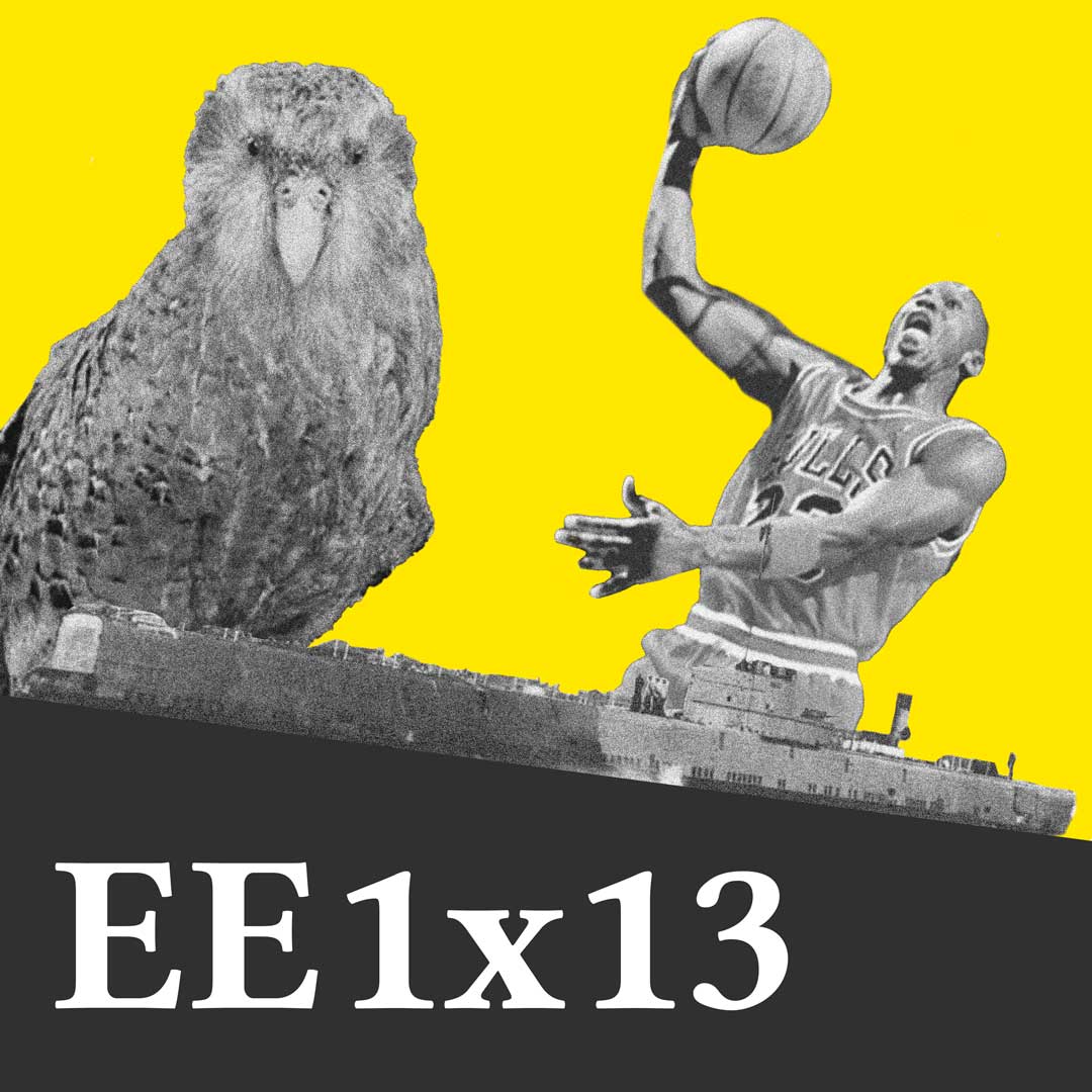 EE 1×13 – Michael Jordan, Submarino HMS Seal (N37) y Kakapo